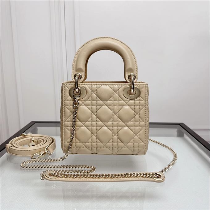 2025228Y600P205558623