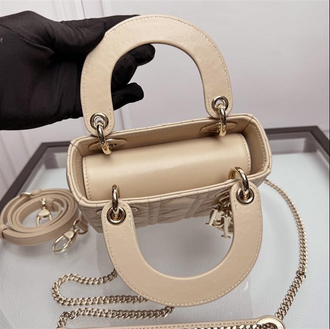 2025228Y600P205558655