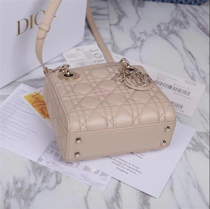 2025228Y600P205559204