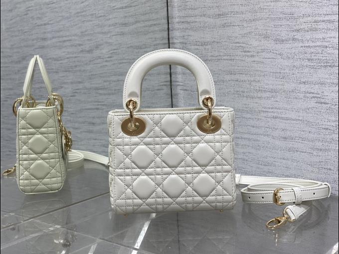 2025228Y600P205559598