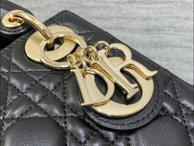 2025228Y600P20560561