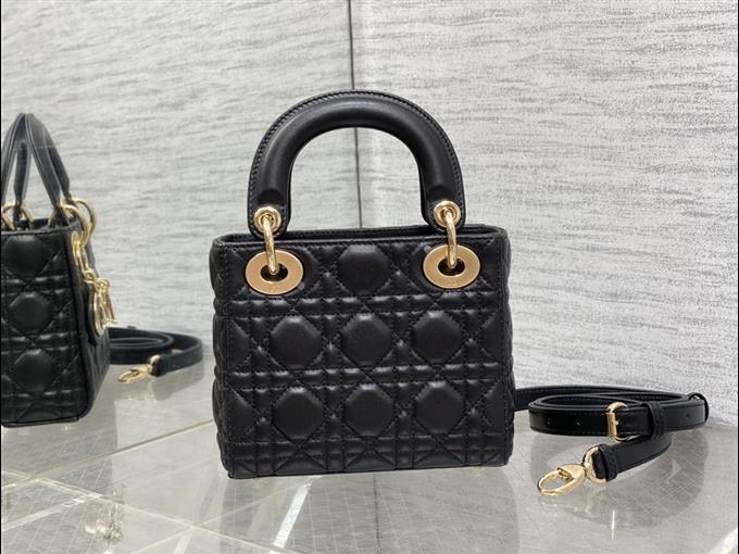 2025228Y600P20560591