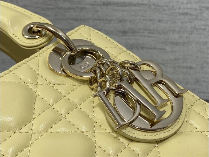 2025228Y600P205610110