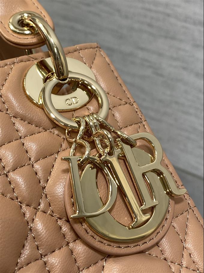 2025228Y600P205611251