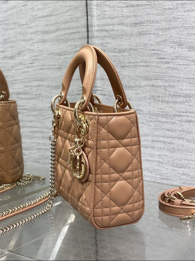 2025228Y600P205611297