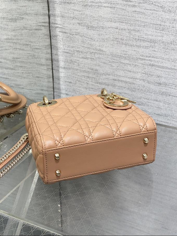 2025228Y600P205611313