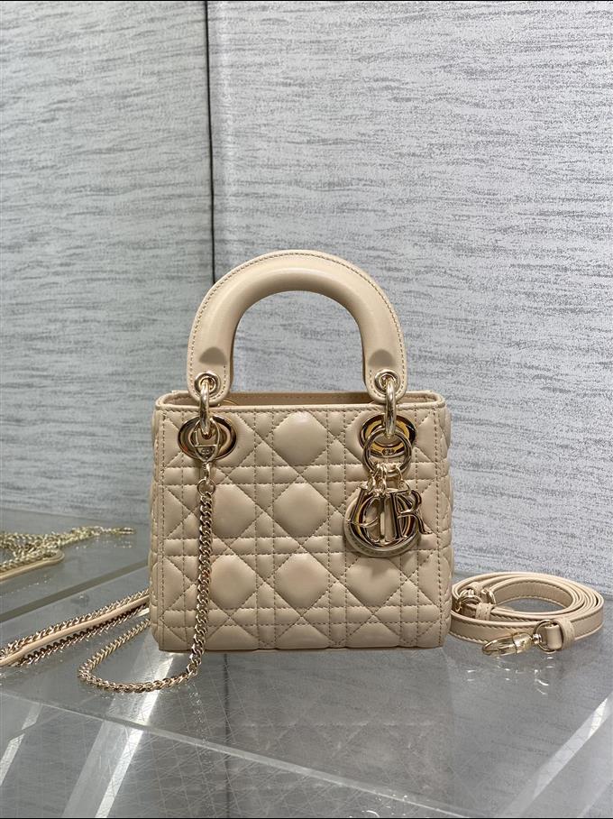 2025228Y600P205611359