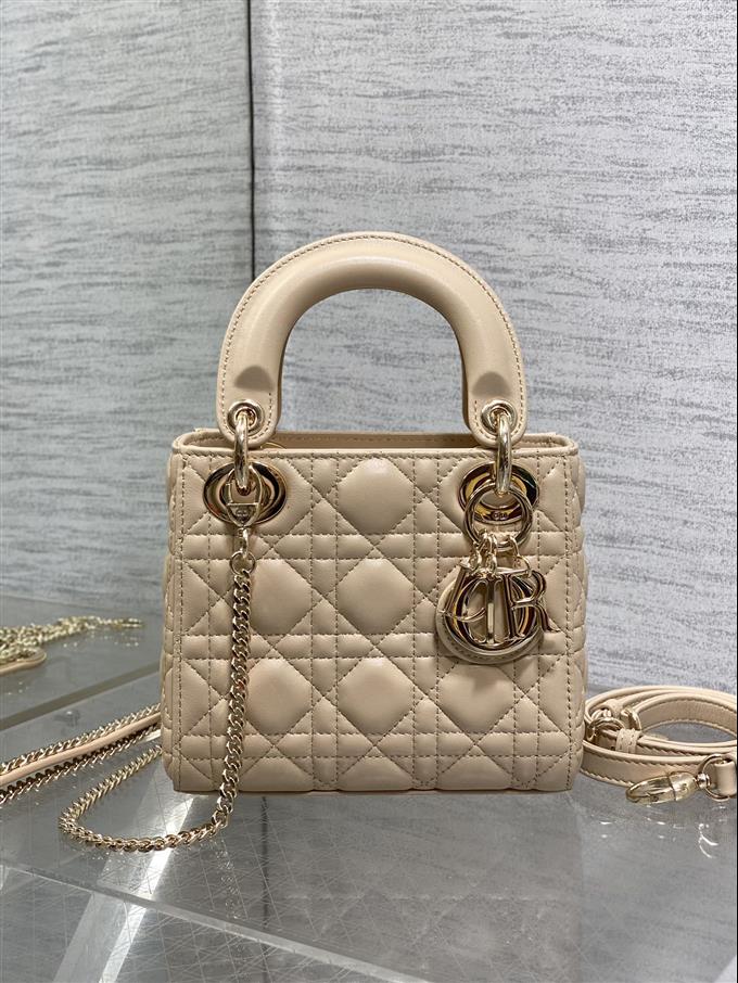 2025228Y600P205611375