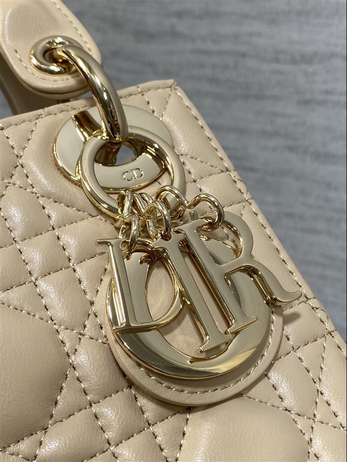 2025228Y600P205611391