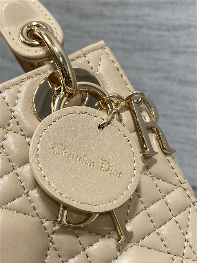 2025228Y600P205611407