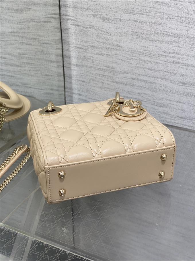 2025228Y600P205611454