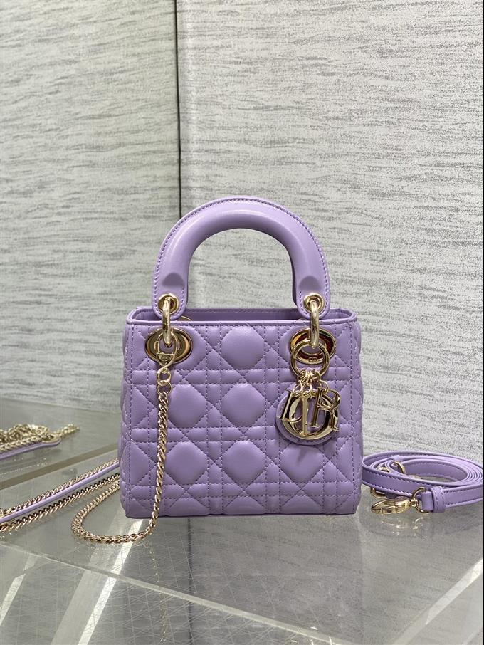 2025228Y600P205611501