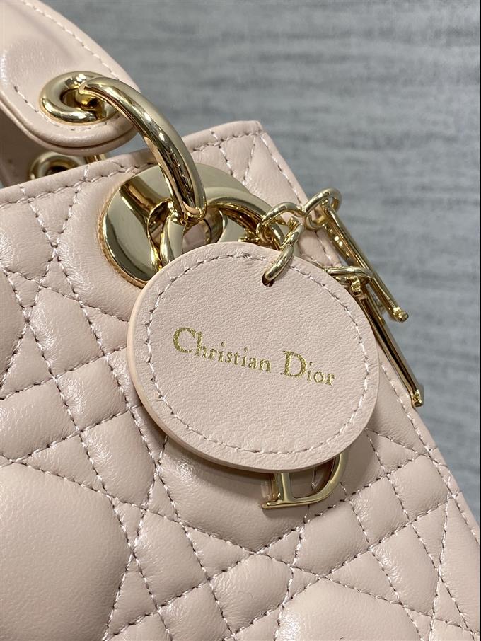 2025228Y600P205611834