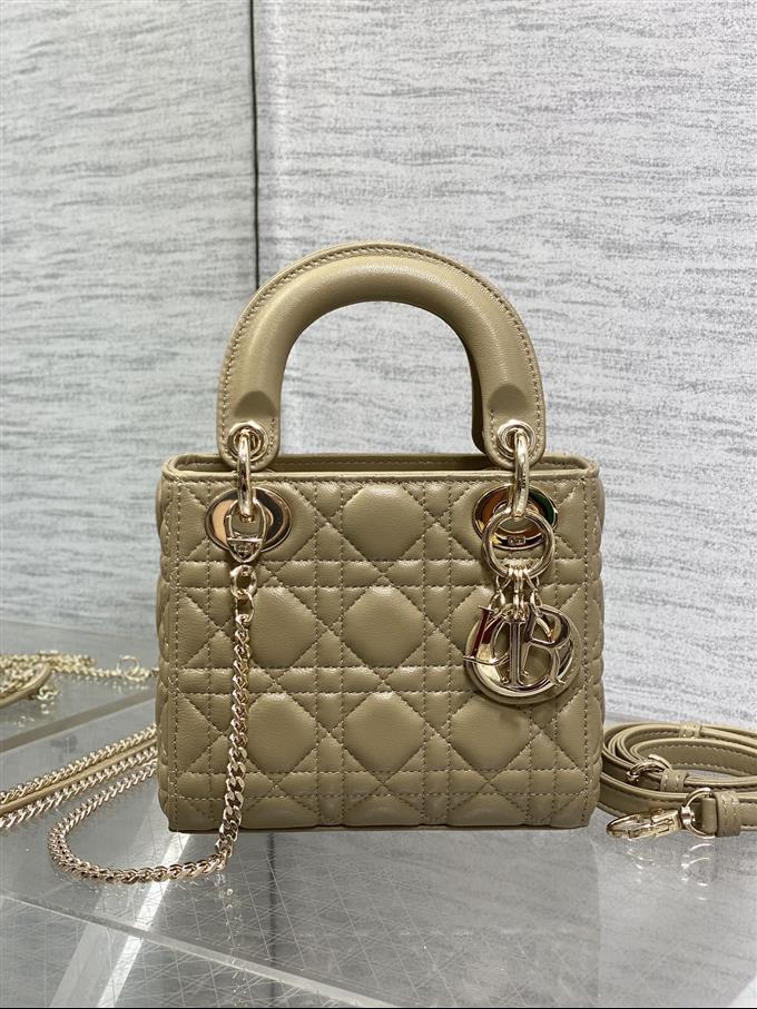 2025228Y600P205611946