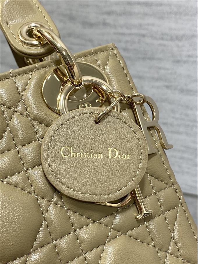 2025228Y600P205611976