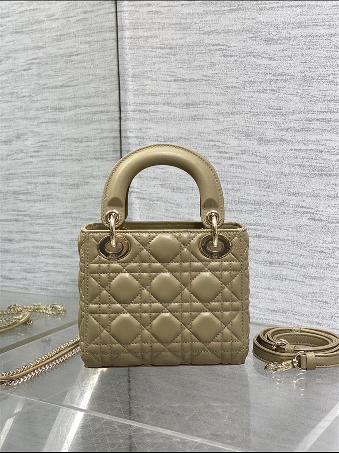 2025228Y600P205611992