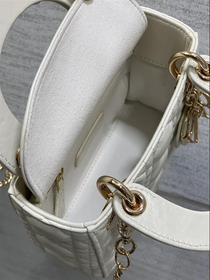 2025228Y600P205612197