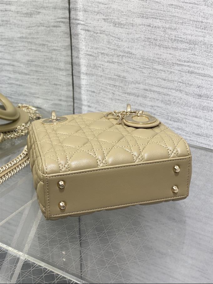 2025228Y600P20561224