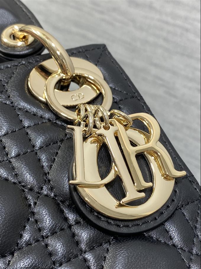 2025228Y600P205612261