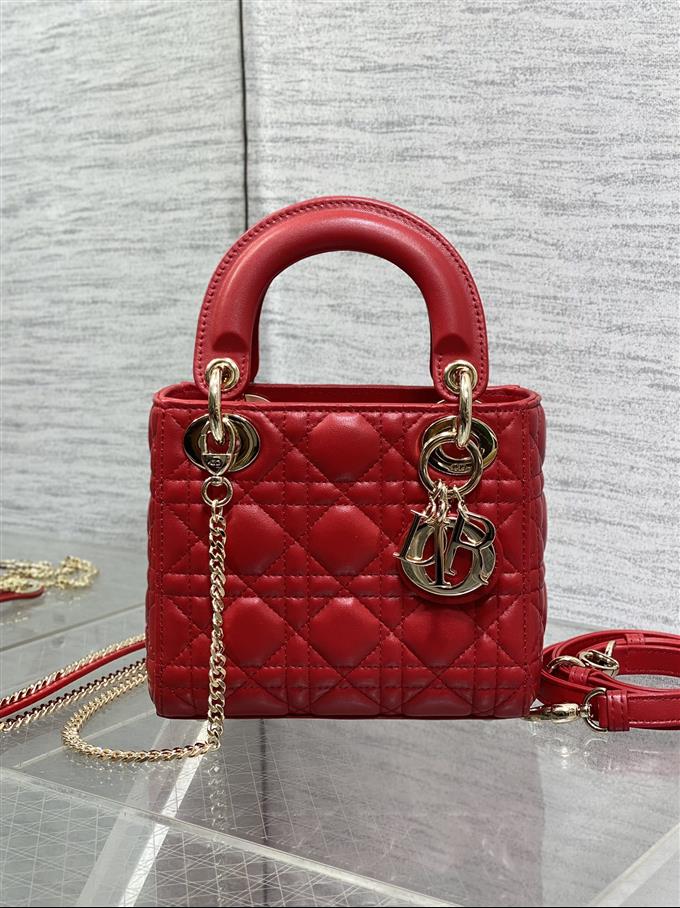 2025228Y600P205612532