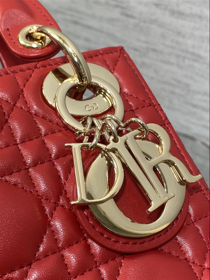 2025228Y600P205612548