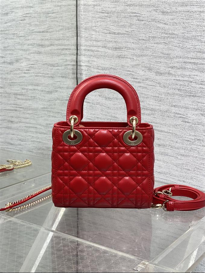 2025228Y600P205612579