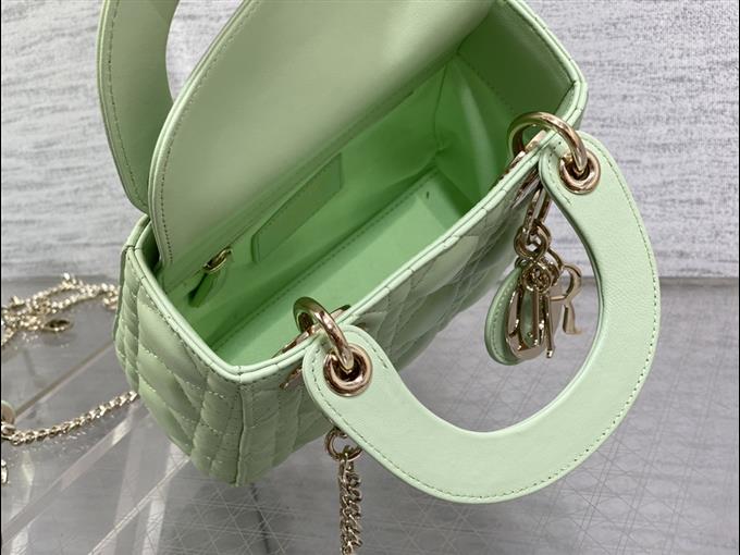 2025228Y600P205613322