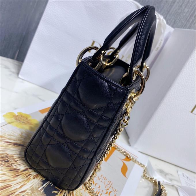 2025228Y600P20561551