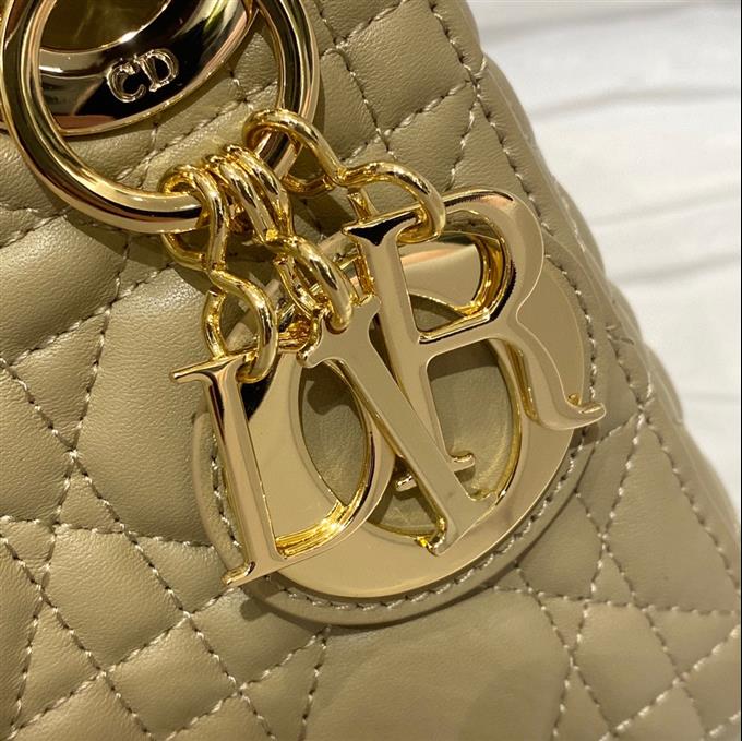 2025228Y600P205615793