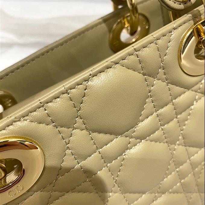 2025228Y600P205615856