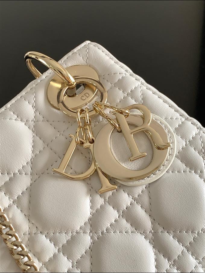 2025228Y600P205616270