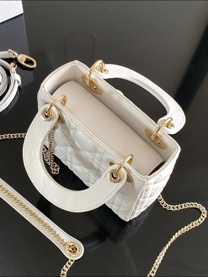 2025228Y600P205616302