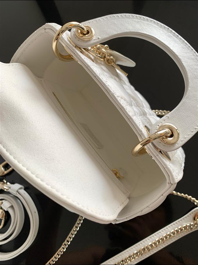 2025228Y600P205616334