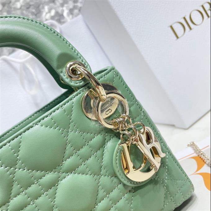 2025228Y600P20562684