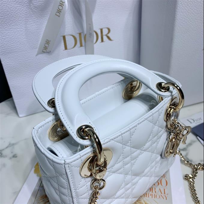 2025228Y600P20562857