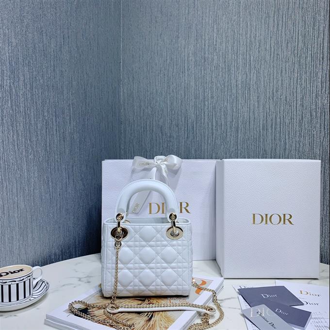 2025228Y600P20562903