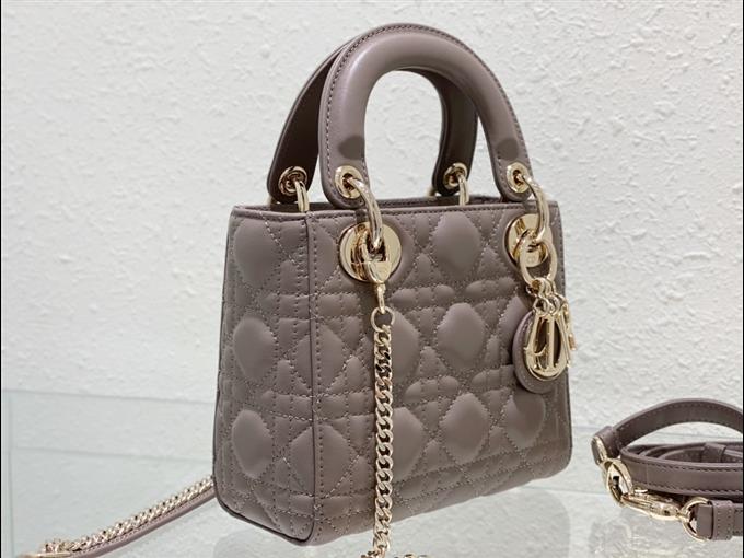 2025228Y600P20564204