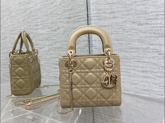 2025228Y600P20566311