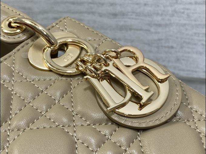 2025228Y600P20569591