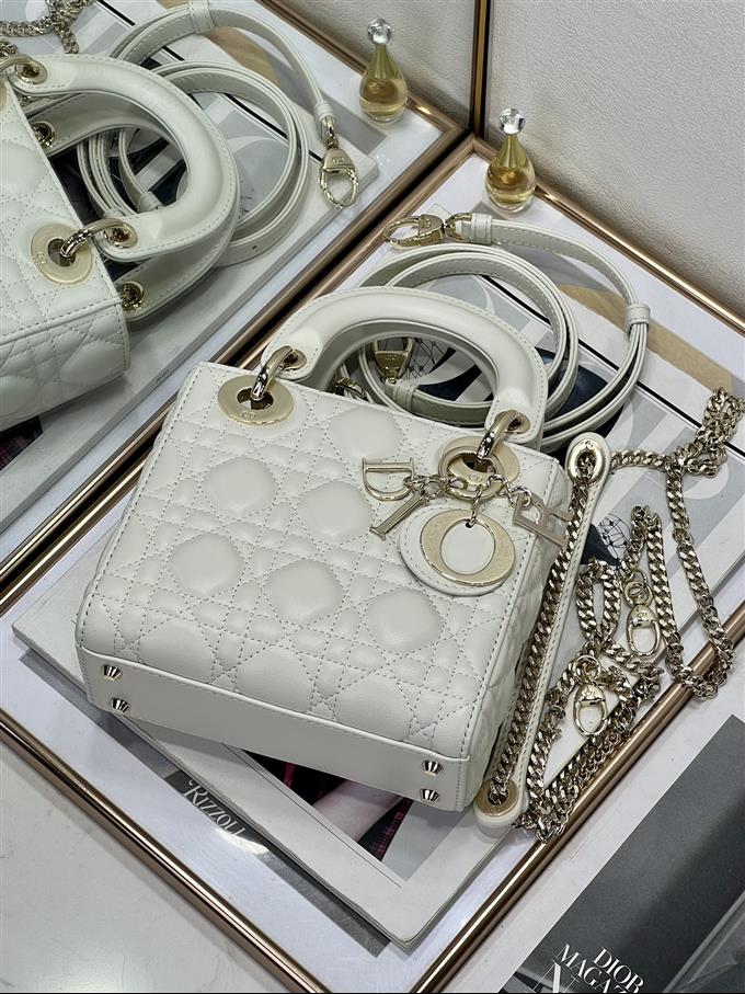 2025228Y600P212519169