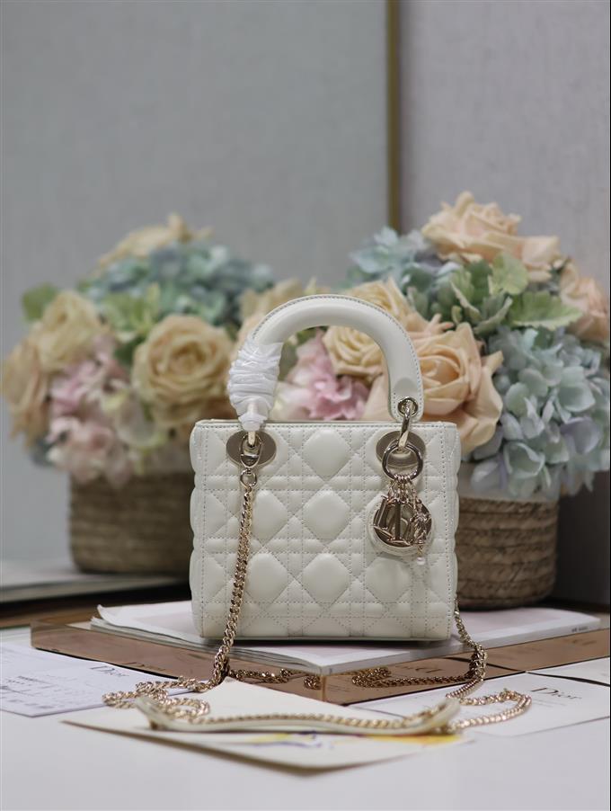 2025228Y600P212519498