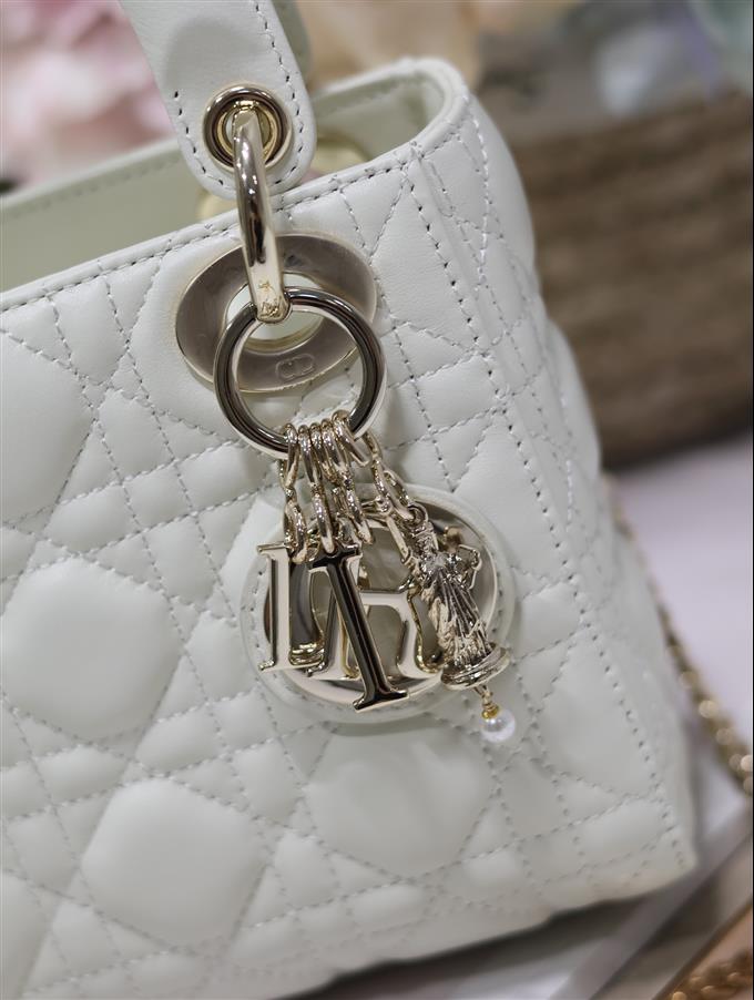 2025228Y600P212519546