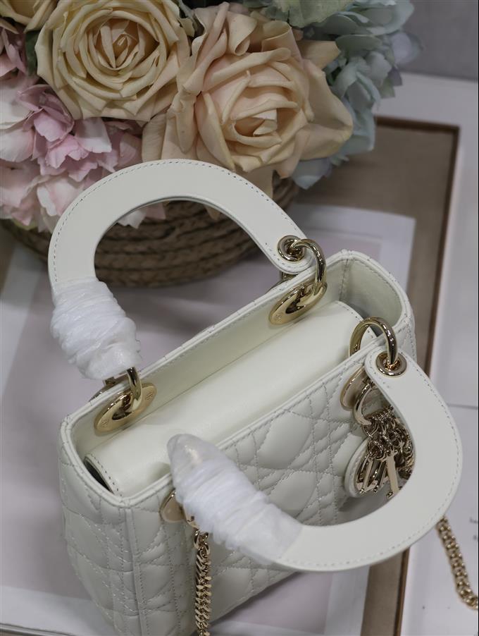 2025228Y600P212519579