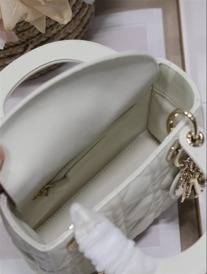 2025228Y600P212519594