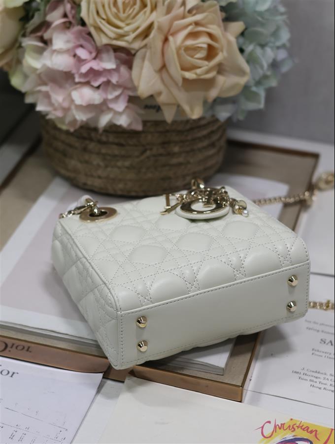 2025228Y600P212519625