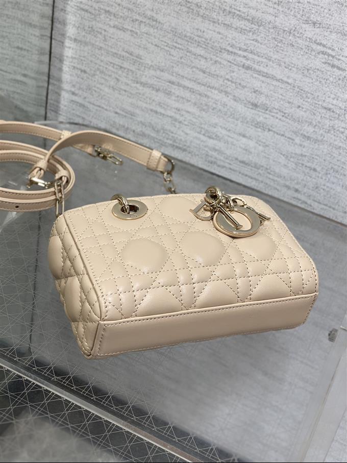 2025228Y620P212523463