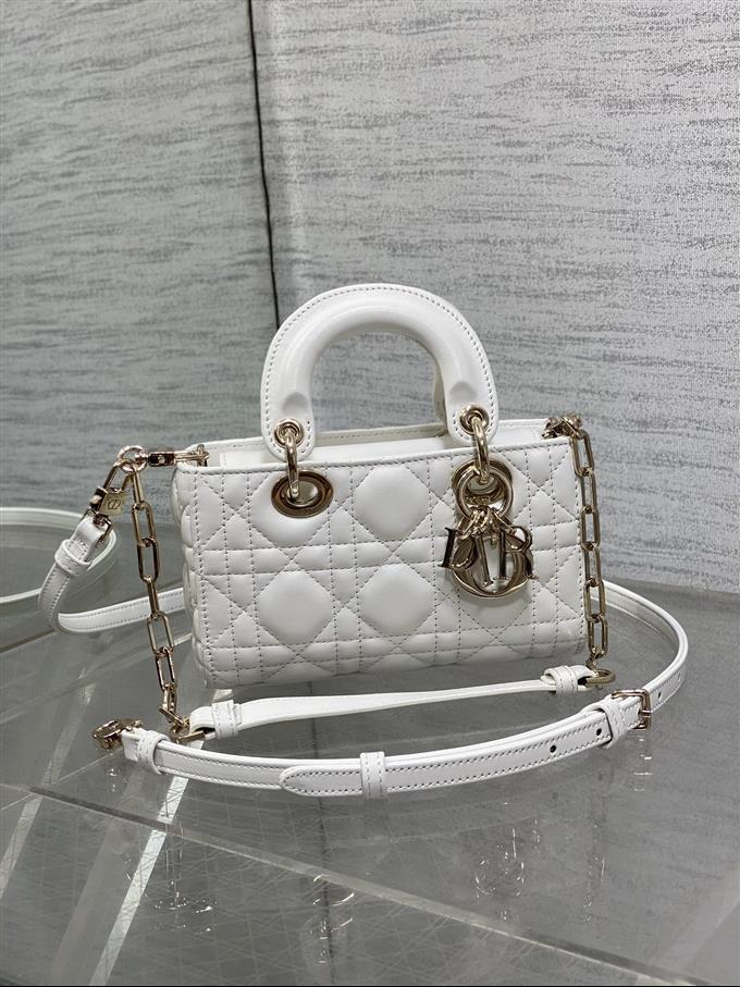 2025228Y620P212523509