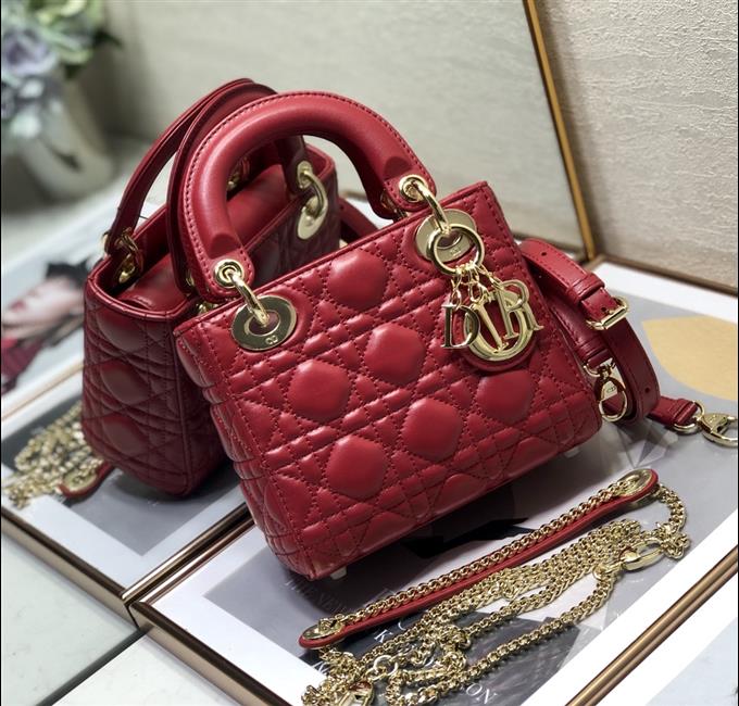 2025228Y650P20554550