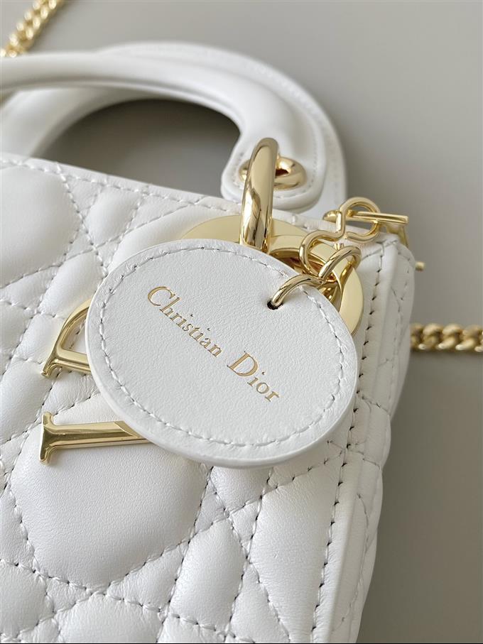 2025228Y680P212526106