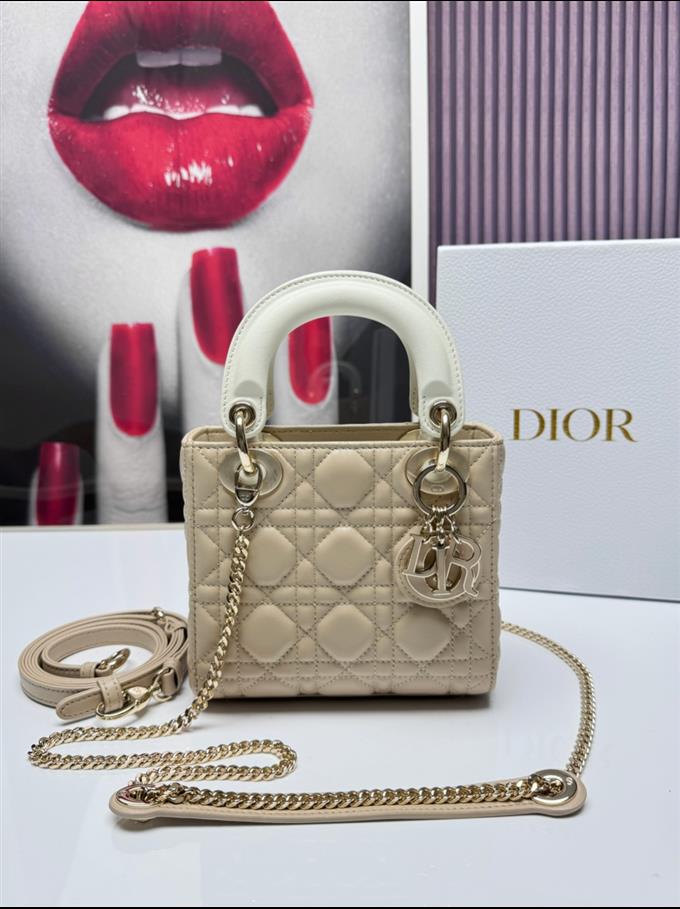 2025228Y680P212526558